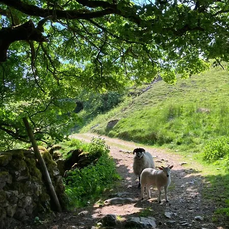 Апартаменты The Dale At Greystones - Luxurious Annexe With Stunning View Buckden (North Yorkshire)