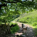 Апартаменты The Dale - Luxurious Annexe With Stunning View Buckden (North Yorkshire)