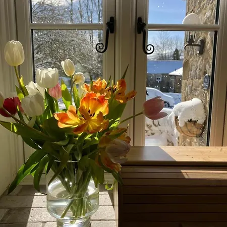 Apartmán The Dale - Luxurious Annexe With Stunning View *