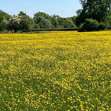 The Dale - Luxurious Annexe With Stunning View * Buckden (North Yorkshire)