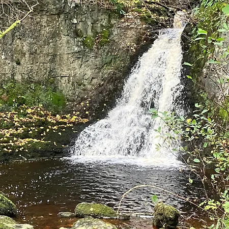 The Dale - Luxurious Annexe With Stunning View Lägenhet