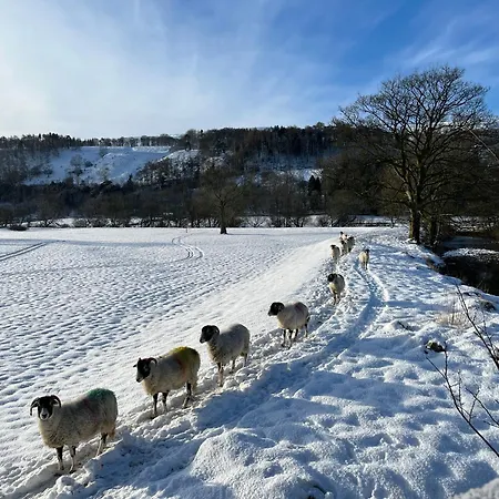 The Dale - Luxurious Annexe With Stunning View