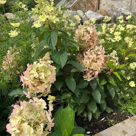 The Dale - Luxurious Annexe With Stunning View Apartment *