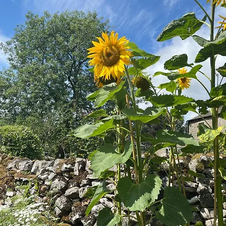 Apartment The Dale - Luxurious Annexe With Stunning View